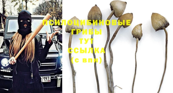 альфа пвп Инта