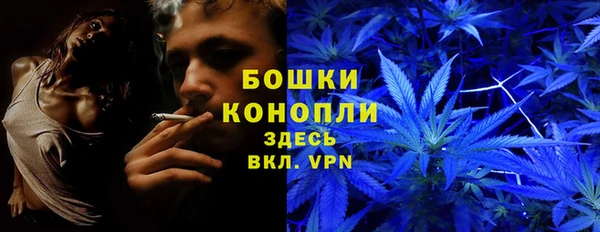 альфа пвп Инта