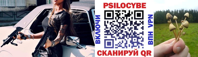 Псилоцибиновые грибы Cubensis  Чухлома 